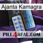 Ajanta Kamagra 40